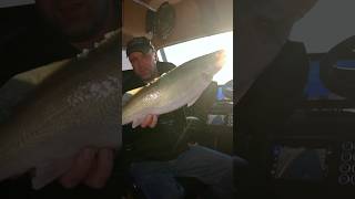 Absolute CHAOS Ice Fishing in the SnoBear!! #walleye #icefishing #walleyefishing