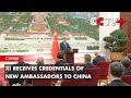 Xi Receives Credentials of New Ambassadors to China