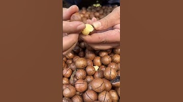 if you want to eat these macadamia nuts #shorts #shortfeed #viral #food