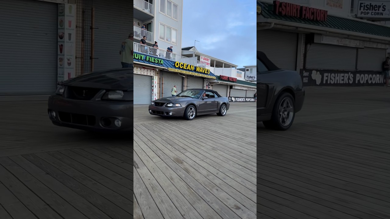 Ford Mustang Cobra “The Terminator” OCMD Endless Summer 2023