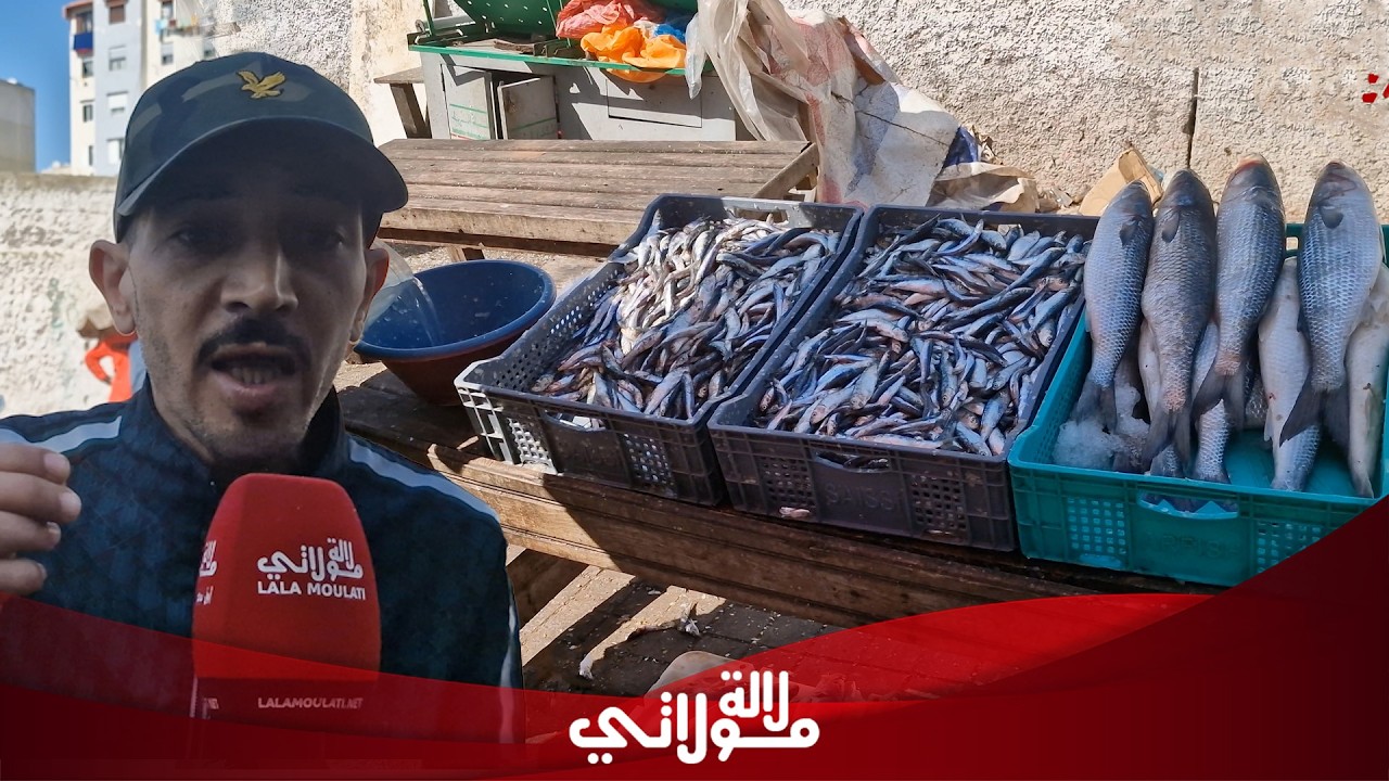غضب واسع وسط بائعي السمك بسبب غلاء السردين