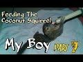 Feeding The Coconut Squirrel Part 7 ( Bajing Kelapa )