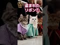 🎀盗まれたリボン🎀1【ASMR】Missing Ribbon 王室の輿(こし)😸✨
