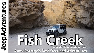 Best of Anza-Borrego State Park Overlanding: Fish Creek, Sandstone, Split Mtn, and More Off-Road.