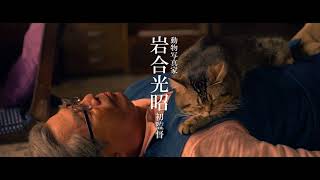 キュートすぎる姿に癒されまくり『ねことじいちゃん』特報映像