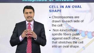 BIO301_Topic056