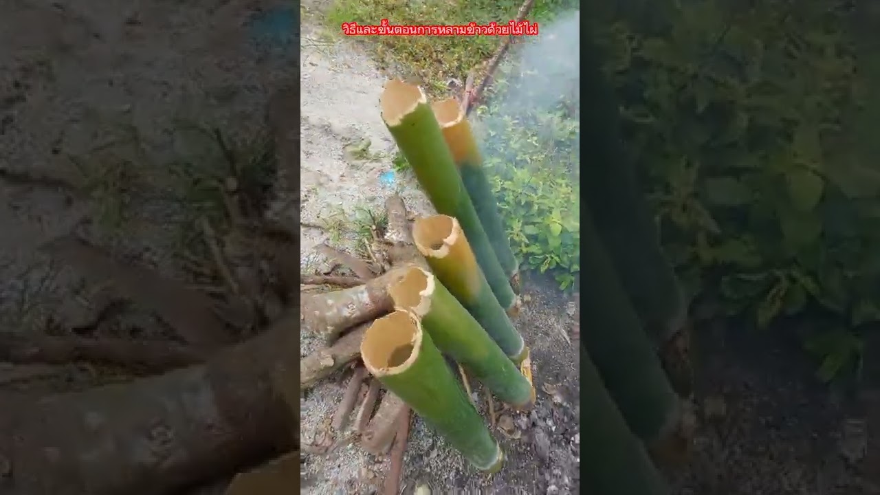 การหลามข้าวด้วยกระบอกไม้ไผ่ สูตรวิถีบ้านๆbyตาเล็ก