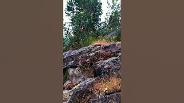 Thumbnail of 03/06/2020 Part 29 Paisajes / Landscapes / пейзажи / Paysage (Music : Búnker Producciones )