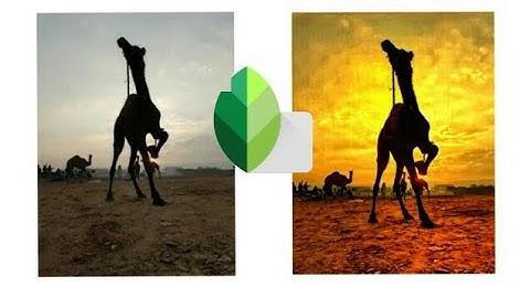 Silhouette Editing in Snapseed Mobile App ||