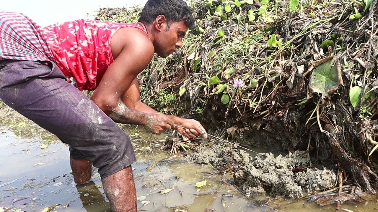 Amazing Eel Fishing Technique From Deep Hole By Strong Rope