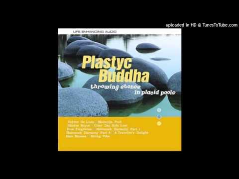 Plastyc Buddha — Plastyc Buddha - Hammock Harmony Part 2
