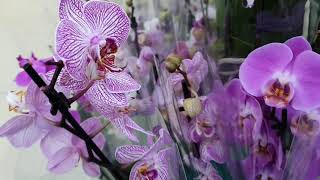 Eski̇den Metromall Avm Alis Veri̇ş Içi̇n Güzel