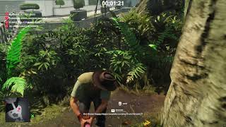 H3 - Featured Contract Happy Hippo Party