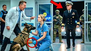 Full Rookie Nurse Fired for Helping a Veteran’s K9 Dog — Minutes Later, Navy SEALs Stormed the Hospital Update