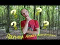 Прогулка№1: Новая Антоновка, Калинковичский район, Беларусь