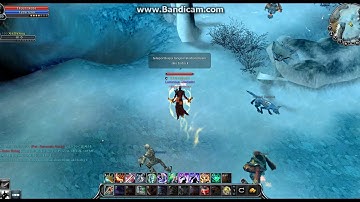 Cabal arenaknights cheater