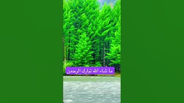 ما شاء الله تبارك الرحمن تلاوة قران