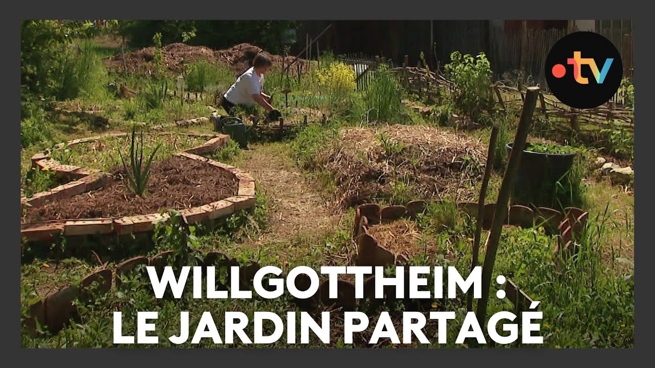 Un lieu, des histoires à Willgottheim : le jardin partagé - Episode 2/4