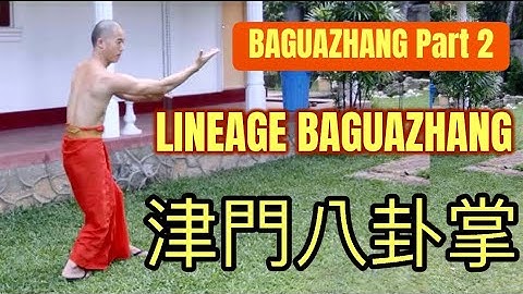 Baguazhang Part 2 #baguazhang #zhaodaoxin #eighttrigrampalm