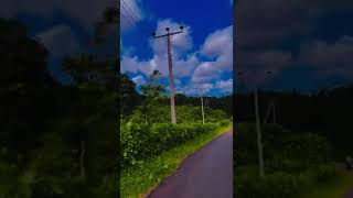 My Village Road Cinematic Short Video Clip
