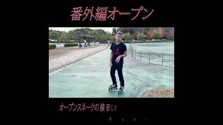 番外編オープン/インラインスケート入門・滑られるときは必ずヘルメット・プロテクター等をつけて安全確保して自己責任で滑ってください。