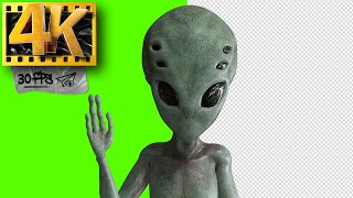 Alien on Green Screen  - Footage 4K