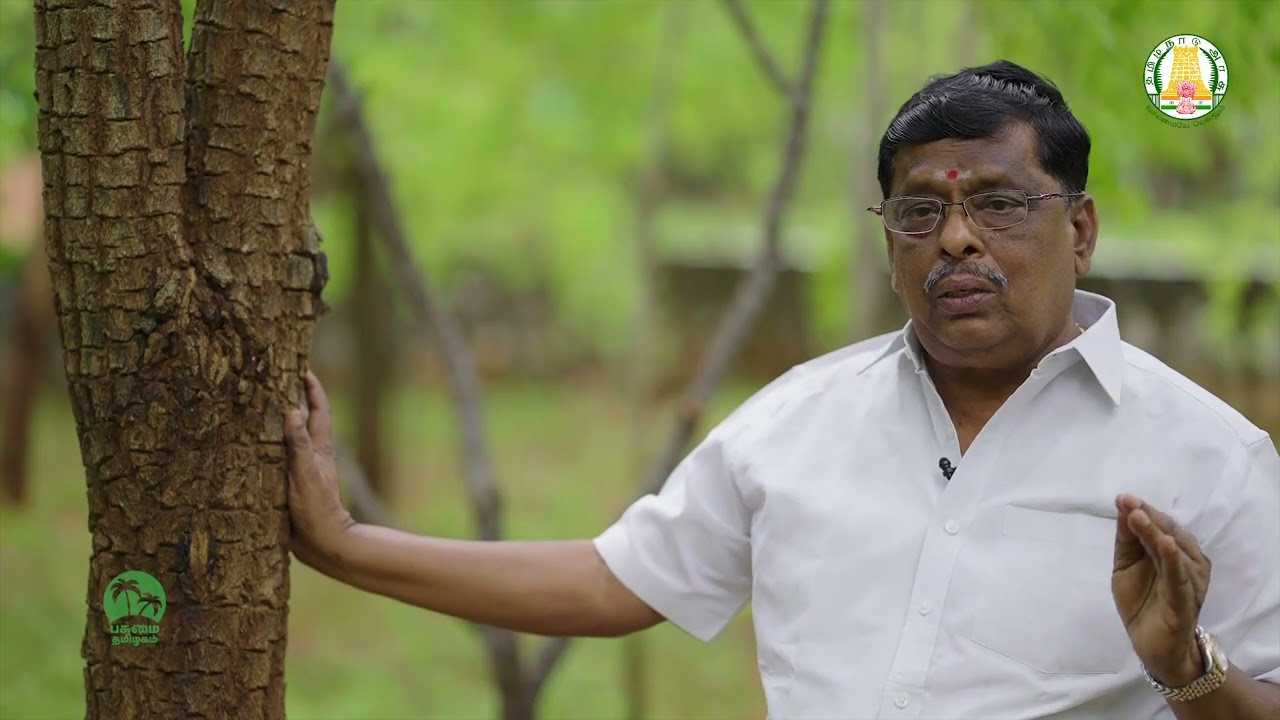 Green Tamil Nadu Mission AGRO FORESTRY