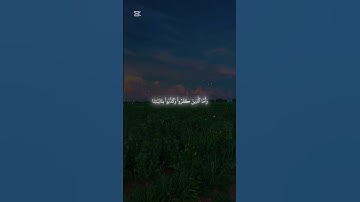 ويوم تقوم الساعه يومئذً يتفرقون #ياسر_الدوسري #سورة_الروم
