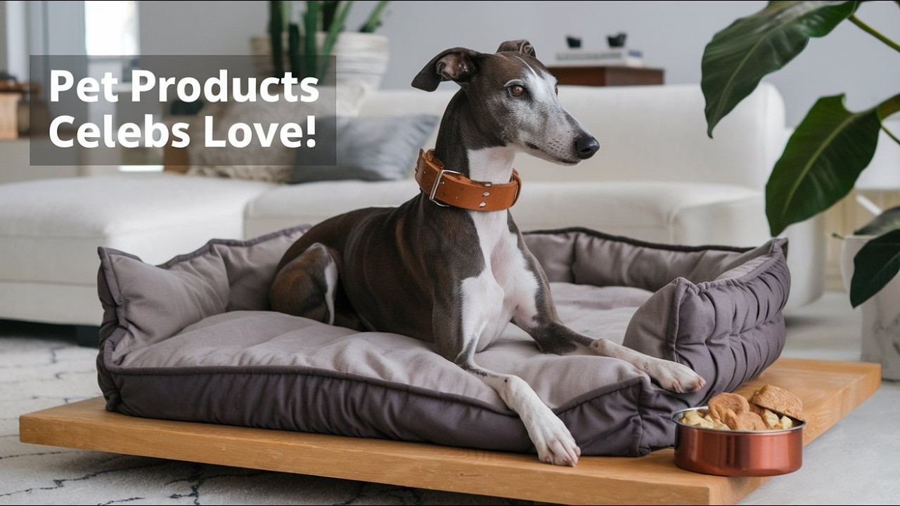 Luxury Pet Products Celebs Swear By! YouTube