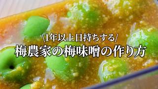 梅仕事】青梅で仕込む梅味噌の作り方。梅農家に伝わる定番青梅レシピ