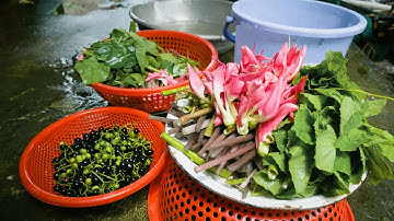 Khám phá đặc sản sông nước miệt vườn Hậu Giang |Du lịch Miền Tây Việt Nam