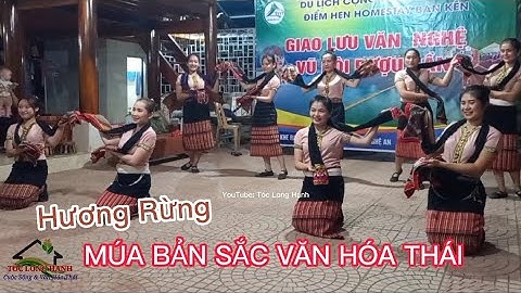 Hương Rừng Múa Nét Đẹp Đặc Trưng Bản Sắc Văn Hóa Dân Tộc Thái Con Cuông | Tóc Long Hạnh