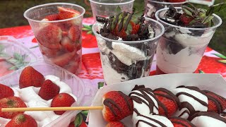 Bounces, bites & bonds with puppies at the South Florida Strawberry Festival this weekend