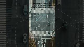 Evolution can't explain morality! #frankturek #science #evolution #godisreal #design #shorts #jesus Net Worth