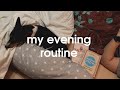 ОДИН ВЕЧЕР СО МНОЙ / my evening routine 2020