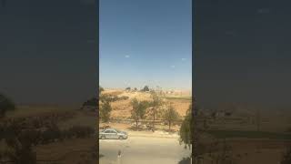 Real Flying Dragon Caught on Camera in Jordan screenshot 2