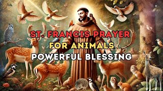 St. Francis Prayer for Animals – A Powerful Blessing for All Creatures