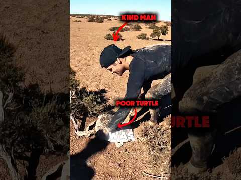 Man Saved Dehydrated Turtle 🐢          #shorts #respect #bestmoments #outdoors #wildlife #animals