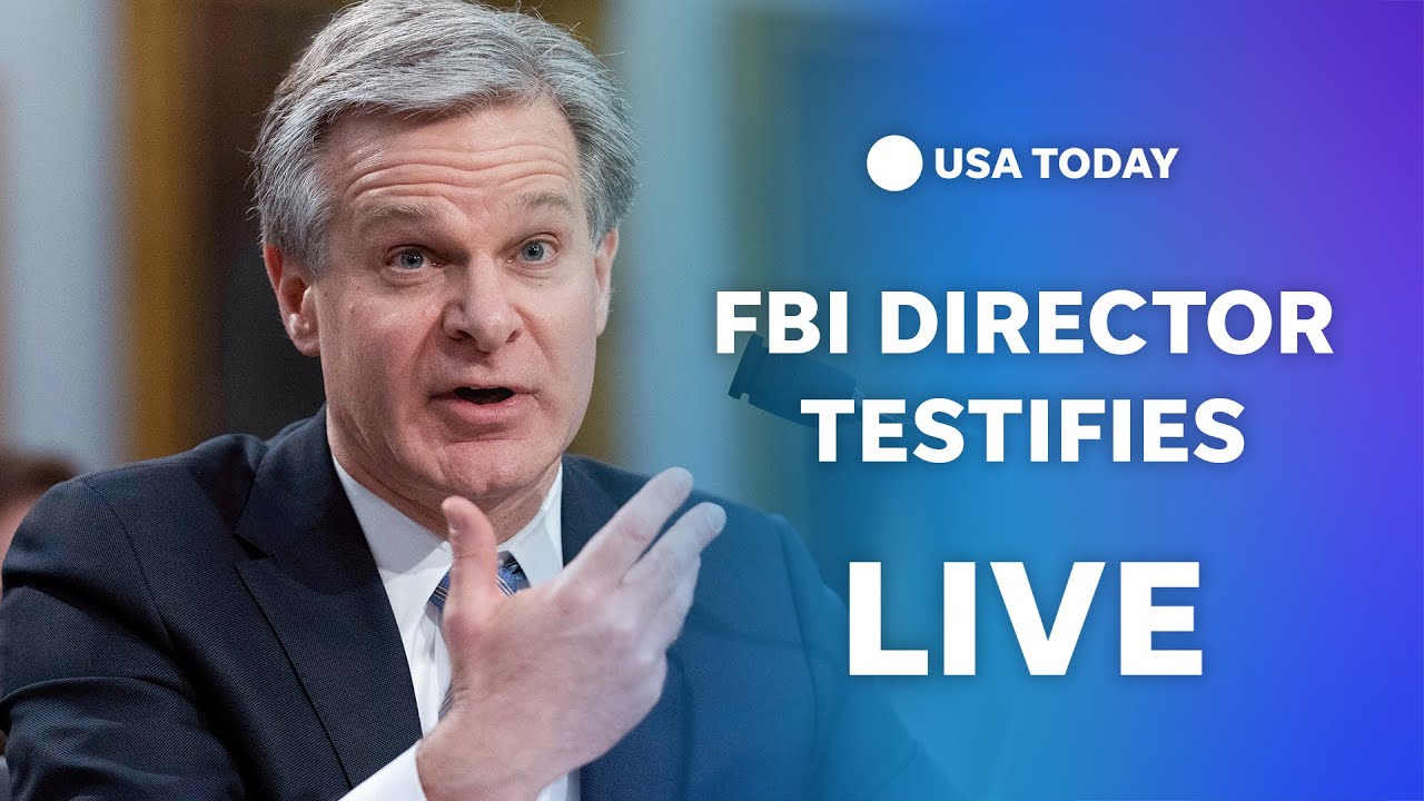 Watch: FBI Director Chris Wray testifies before House Judiciary | USA TODAY