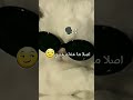 اصلا ما عندك غيري بدون موسيقى Reem تصميم سريع عشان م اسحب