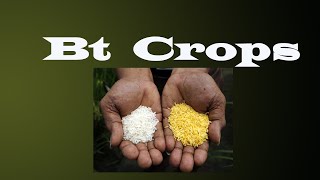 Bt Crops  # By Dr. Chouse Faisal Hamad