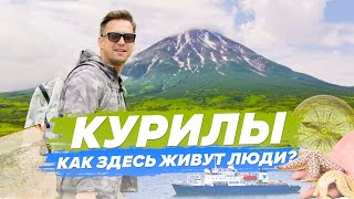 Как Живут Люди На Курильских Островах. Напала Змея. Откуда Столько Мертвой Рыбы На Берегу