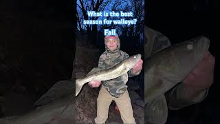 Walleye fishing spring summer fall #walleyefishing #walleye #walleyes #fallfishing #spring #winter