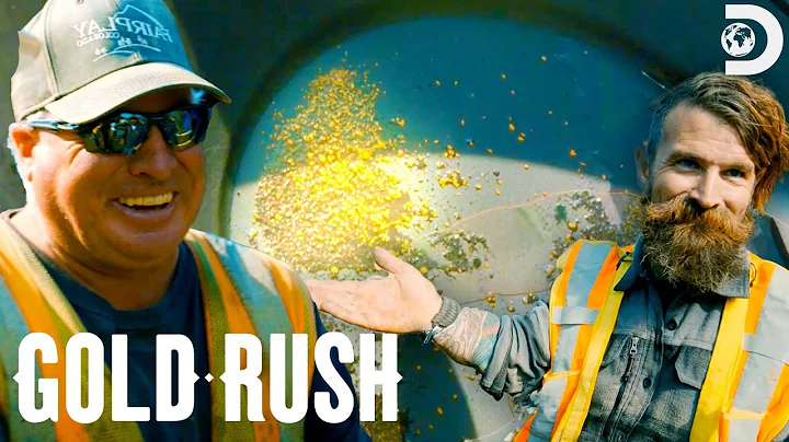 Freddy Dodge Fixes Fred Lewis's Gold Operation | G...