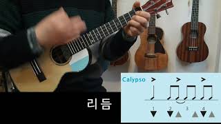 혜화동 (반주곡) - 동물원