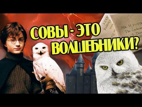 Насколько Разумны Совы из Гарри Поттера?