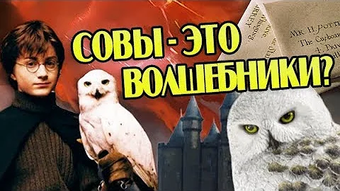 Насколько Разумны Совы из Гарри Поттера?