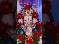 jai jai ganesha ganpati #ganesh#shortsvideo  #ganeshchaturthi #shorts #youtubeshorts#viral