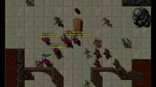 noobs palmando