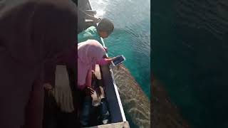 Ikan duyung nya pulau Alor NTT 😍